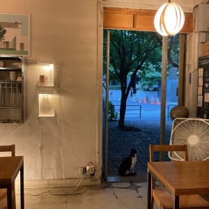 분더바, 슬라이드 이미지 4