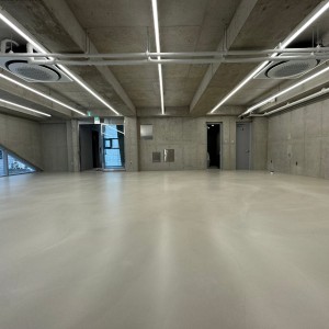 네스트 699, 슬라이드 이미지 2